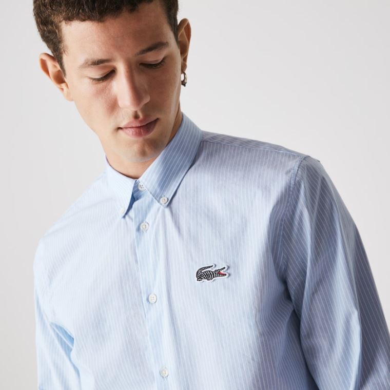 Lacoste x National Geographic Regular Fit Striped Pamut Shirt Kék Fehér | zCL3CjAO