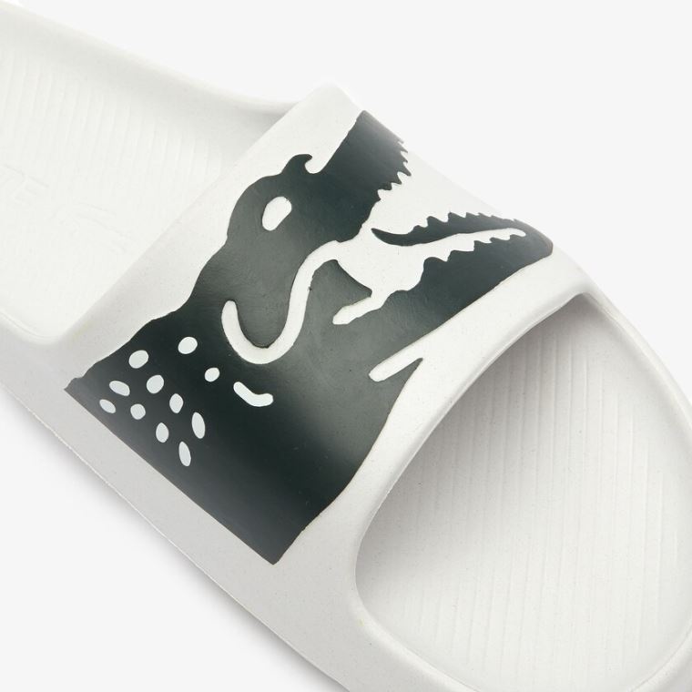 Lacoste x Ricky Regal Szintetikus Crocodile Slides Fehér Zöld | C9MNWldV